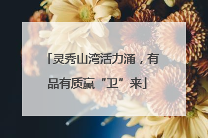 灵秀山湾活力涌，有品有质赢“卫”来