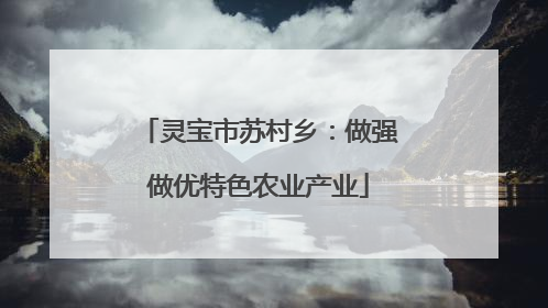 灵宝市苏村乡：做强做优特色农业产业