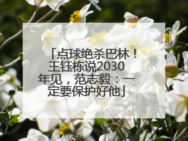 点球绝杀巴林！王钰栋说2030年见，范志毅：一定要保护好他