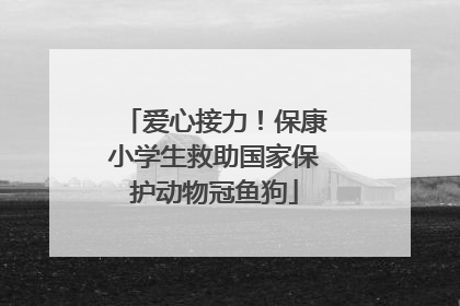 爱心接力！保康小学生救助国家保护动物冠鱼狗