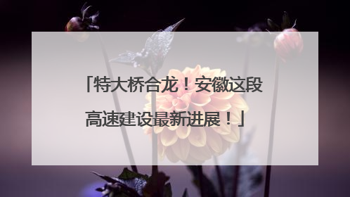 特大桥合龙！安徽这段高速建设最新进展！