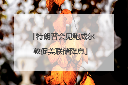 特朗普会见鲍威尔 敦促美联储降息