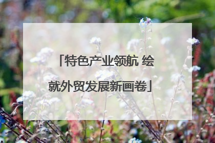 特色产业领航 绘就外贸发展新画卷