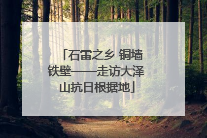 石雷之乡 铜墙铁壁——走访大泽山抗日根据地