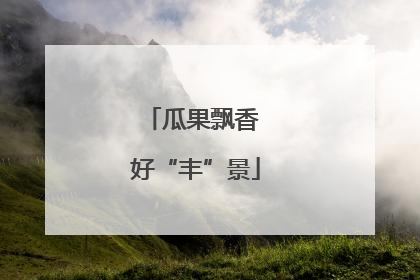 瓜果飘香 好“丰”景