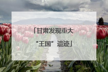 甘肃发现重大“王国”遗迹