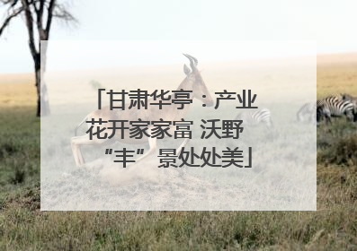 甘肃华亭：产业花开家家富 沃野“丰”景处处美