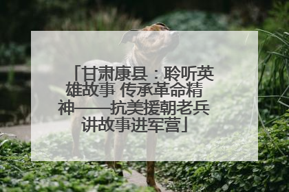 甘肃康县：聆听英雄故事 传承革命精神——抗美援朝老兵讲故事进军营