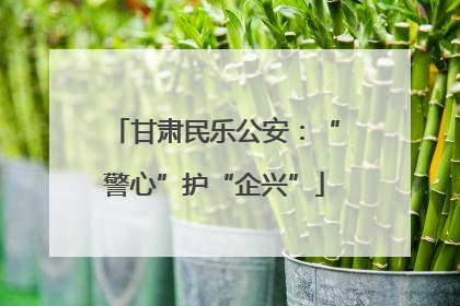 甘肃民乐公安：“警心”护“企兴”