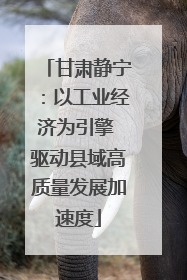 甘肃静宁：以工业经济为引擎 驱动县域高质量发展加速度