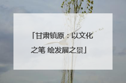 甘肃镇原：以文化之笔 绘发展之景