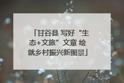 甘谷县 写好“生态+文旅”文章 绘就乡村振兴新图景