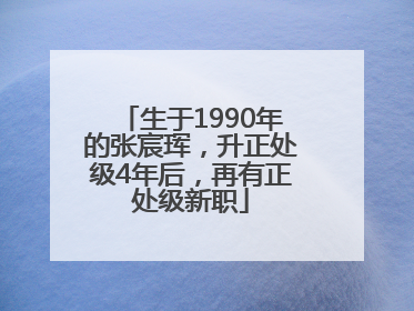 生于1990年的张宸珲，升正处级4年后，再有正处级新职
