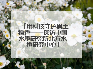 用科技守护黑土稻香——探访中国水稻研究所北方水稻研究中心