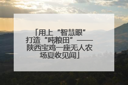 用上“智慧眼” 打造“吨粮田”——陕西宝鸡一座无人农场夏收见闻