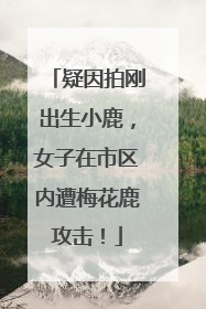 疑因拍刚出生小鹿，女子在市区内遭梅花鹿攻击！