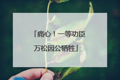 痛心！一等功臣万松因公牺牲