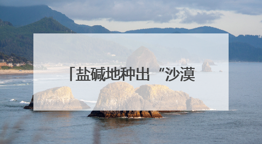 盐碱地种出“沙漠人参” 潍坊滨海解锁生态致富密码