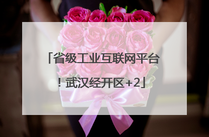 省级工业互联网平台！武汉经开区+2
