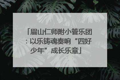 眉山仁师附小管乐团：以乐铸魂奏响“四好少年”成长乐章
