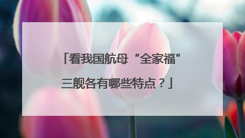 看我国航母“全家福” 三舰各有哪些特点？