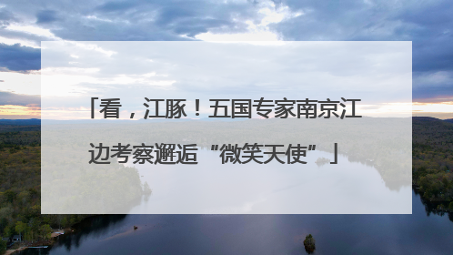 看，江豚！五国专家南京江边考察邂逅“微笑天使”
