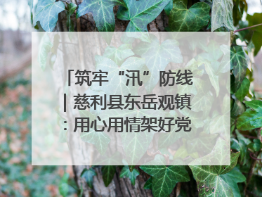 筑牢“汛”防线｜慈利县东岳观镇：用心用情架好党群温暖悠长的“连心桥”
