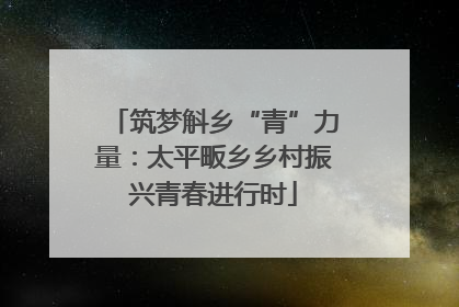 筑梦斛乡“青”力量：太平畈乡乡村振兴青春进行时