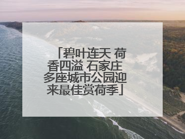 碧叶连天 荷香四溢 石家庄多座城市公园迎来最佳赏荷季