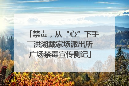 禁毒，从“心”下手――洪湖戴家场派出所广场禁毒宣传侧记