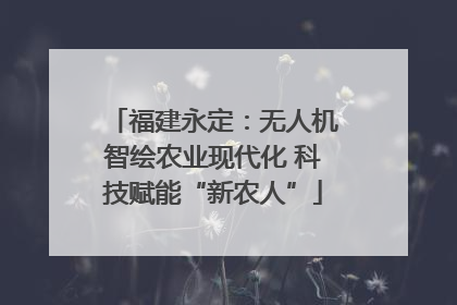 福建永定：无人机智绘农业现代化 科技赋能“新农人”