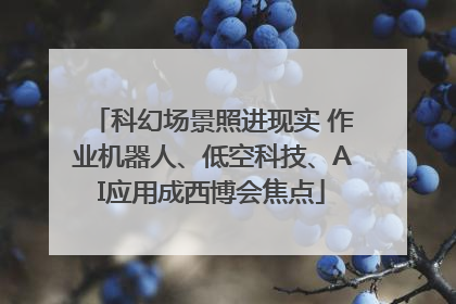 科幻场景照进现实 作业机器人、低空科技、AI应用成西博会焦点
