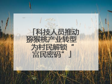 科技人员推动猕猴桃产业转型 为村民解锁“富民密码”