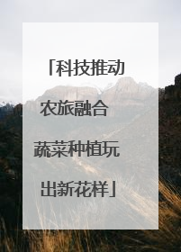 科技推动农旅融合 蔬菜种植玩出新花样