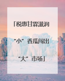 税惠甘霖滋润“小”香瓜闯出“大”市场