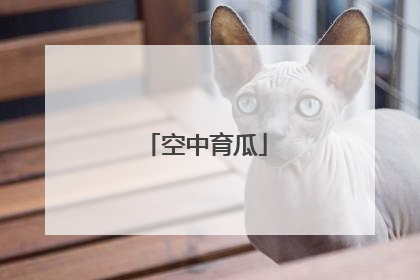 空中育瓜