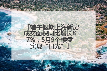 端午假期上海新房成交面积同比增长87%，5月9个楼盘实现“日光”