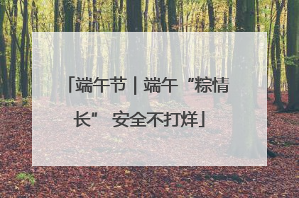 端午节｜端午“粽情长” 安全不打烊
