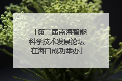第二届南海智能科学技术发展论坛在海口成功举办