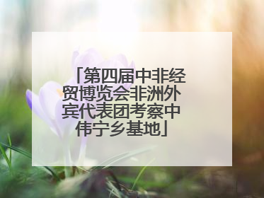第四届中非经贸博览会非洲外宾代表团考察中伟宁乡基地