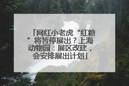 网红小老虎“红糖”将暂停展出？上海动物园：展区改建，会安排展出计划
