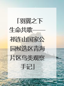 羽翼之下 生命共歌——祁连山国家公园候选区青海片区鸟类观察手记