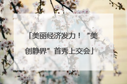 美丽经济发力！“美创静界”首秀上交会