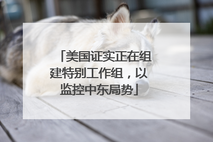 美国证实正在组建特别工作组，以监控中东局势