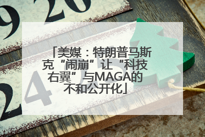 美媒：特朗普马斯克“闹崩”让“科技右翼”与MAGA的不和公开化
