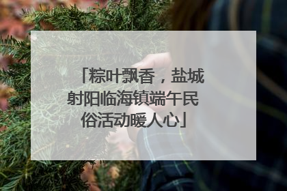 粽叶飘香，盐城射阳临海镇端午民俗活动暖人心