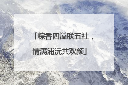 粽香四溢联五社，情满浦沅共欢颜
