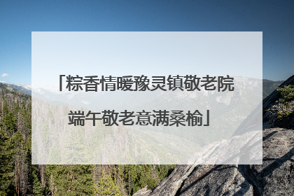 粽香情暖豫灵镇敬老院 端午敬老意满桑榆