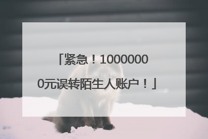 紧急！10000000元误转陌生人账户！