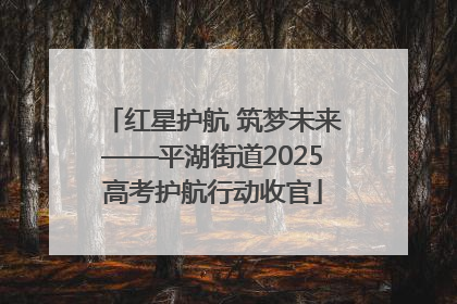 红星护航 筑梦未来——平湖街道2025高考护航行动收官